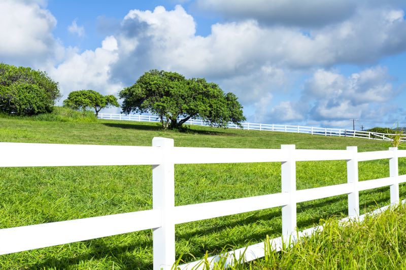 Best Fence Painting Contractors in Forest Lake, MN