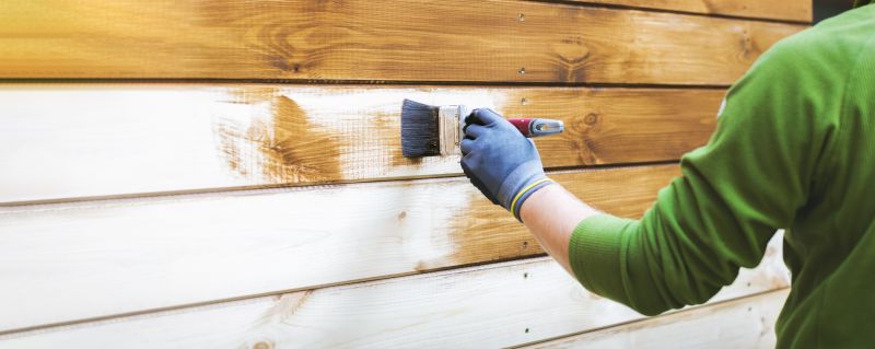 Siding Painting Service detail