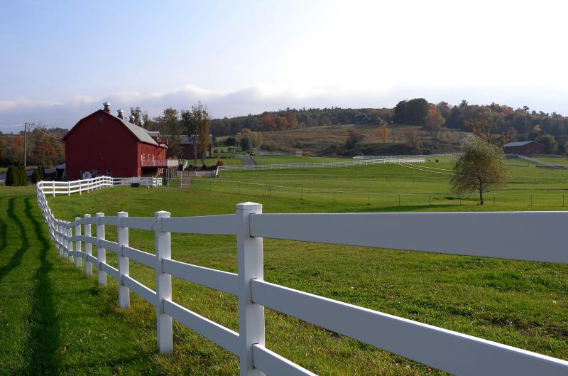 Horse Fence Painting
